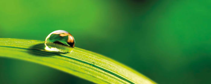 Responsabilidad medioambiental
